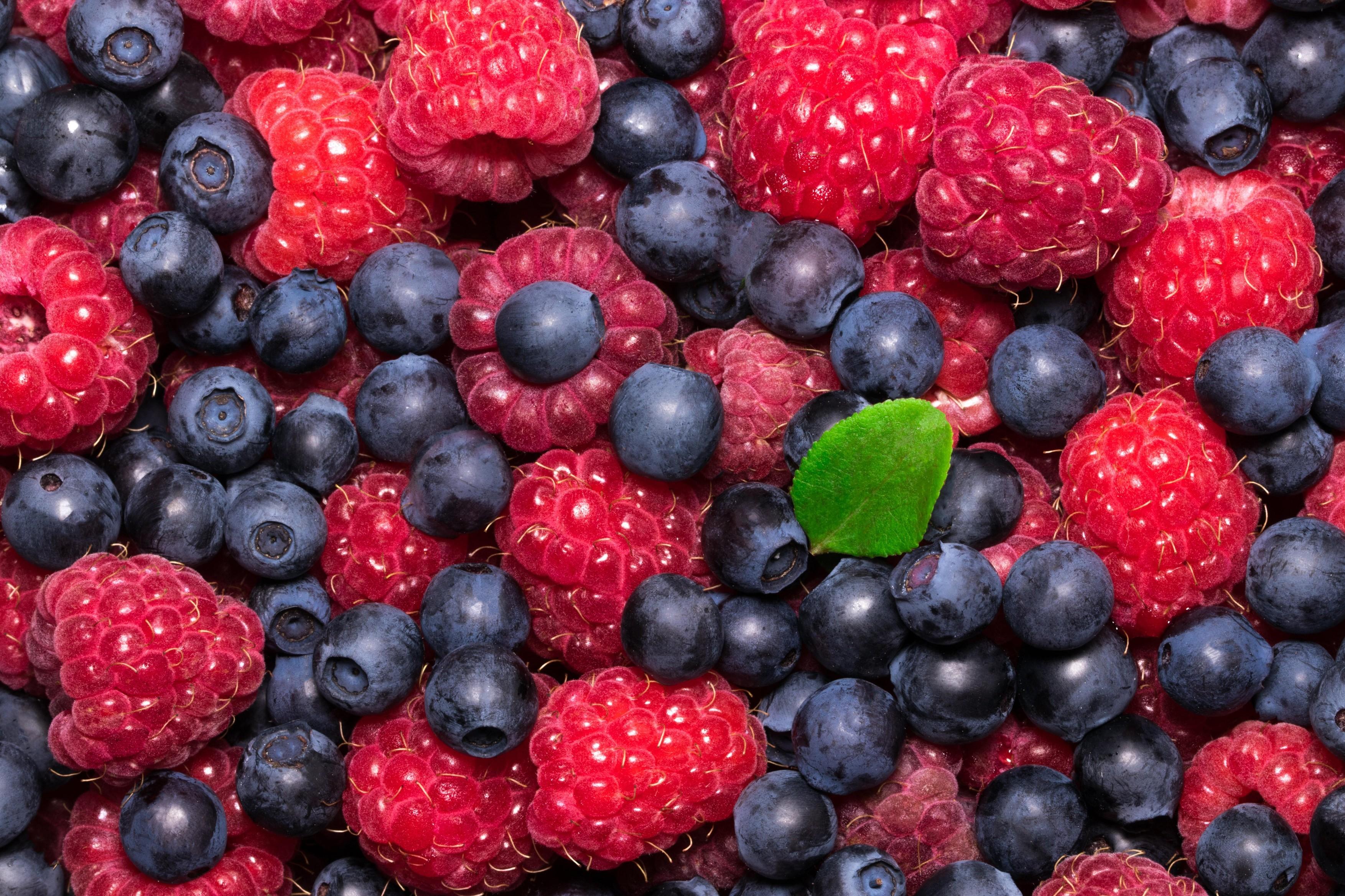 Jagodičevje, maline in borovnice.